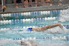 Swimming & Diving vs Babson  Swimming & Diving vs Babson College. - Photo by Keith Nordstrom : Wheaton, Swimming